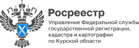 В 2023 году из ЕГРН было запрошено более 186 тысяч выписок о кадастровой стоимости объектов недвижимости.